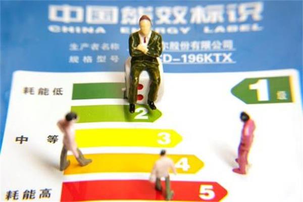 2016網(wǎng)銷應(yīng)顯著展示能效標(biāo)識(shí)